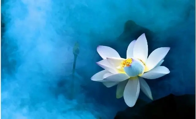 情债难还的经典诗句文案