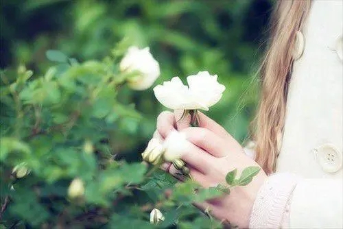 关于纯洁的唯美句子文案