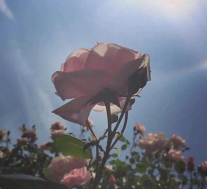 同事要走了祝福语简单