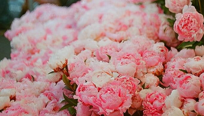 关于哲理句子文案精辟短句