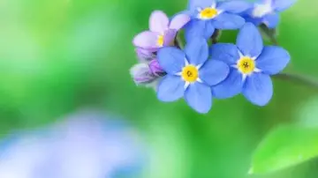 每天都笑得灿烂的句子文案