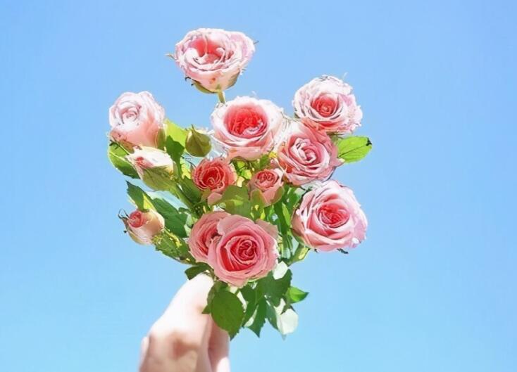 大彻大悟的禅意句子文案