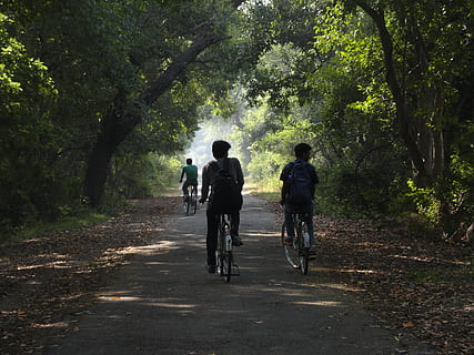 表达真正的爱的句子文案