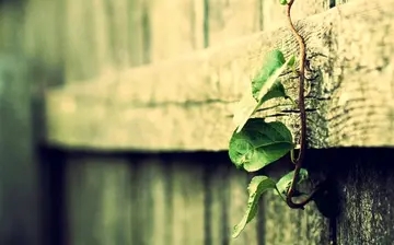 表示对朋友祝福的短句