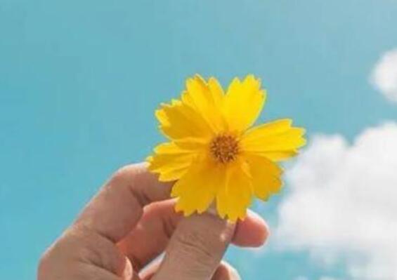 挽留女朋友感动流泪的话