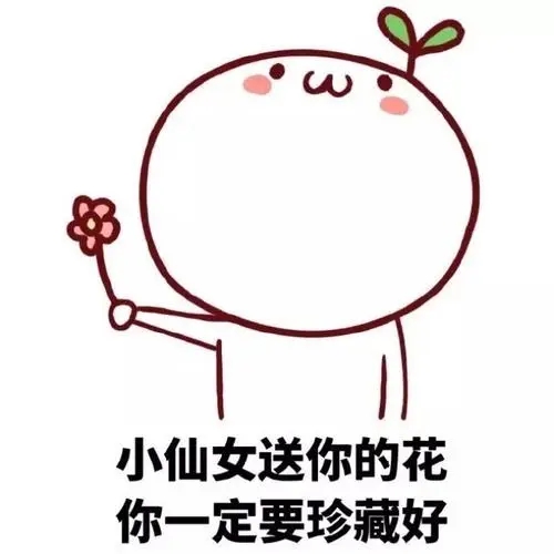 夸女生是小仙女的话