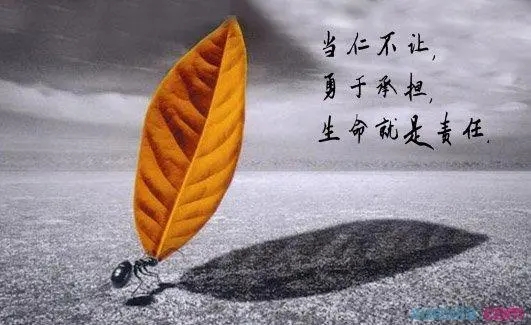 责任担当的名言