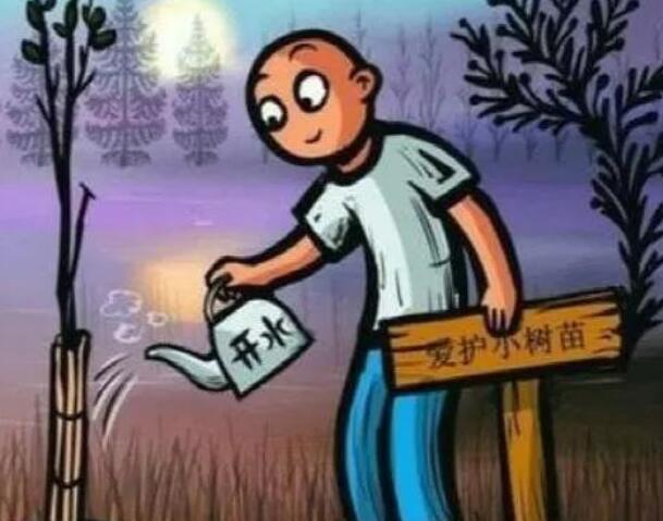 看淡了人情冷暖的句子文案