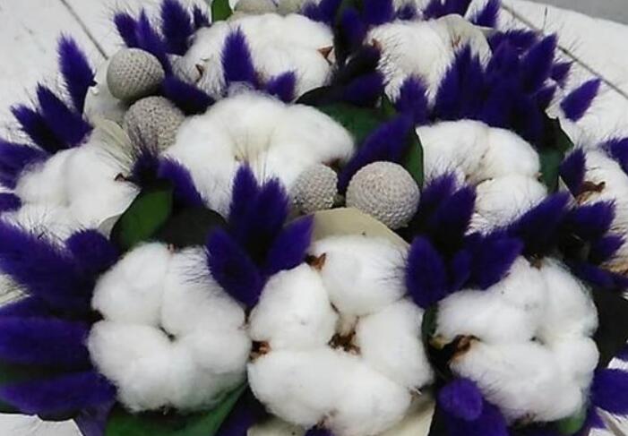 节日感慨说说文案