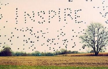 好久没晒照片幽默说说文案