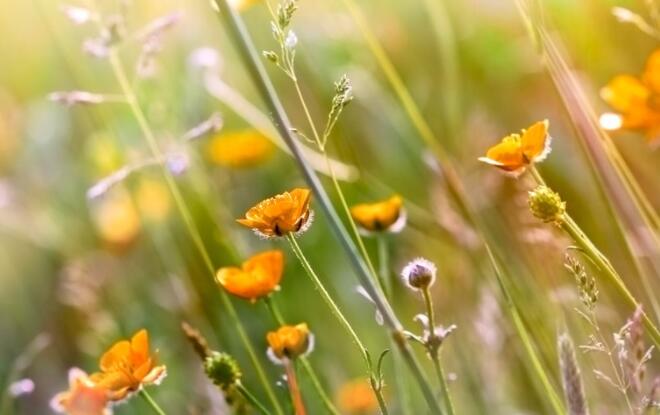 关于人变化的句子文案