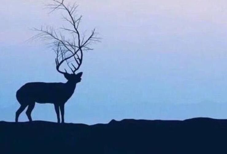 悲伤无助的句子文案说说心情