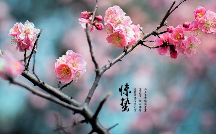 惊蛰的四句古诗