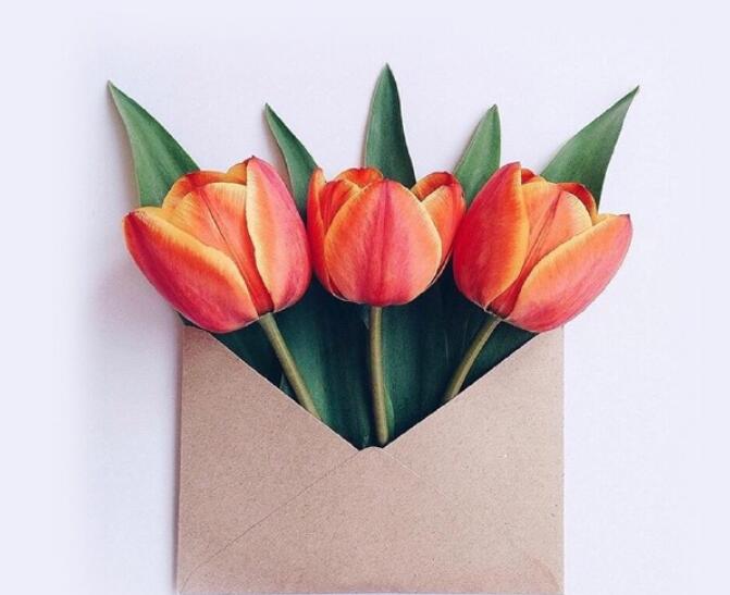 告白情话最暖心句子文案