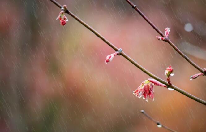 适合下雨天发的诗句文案