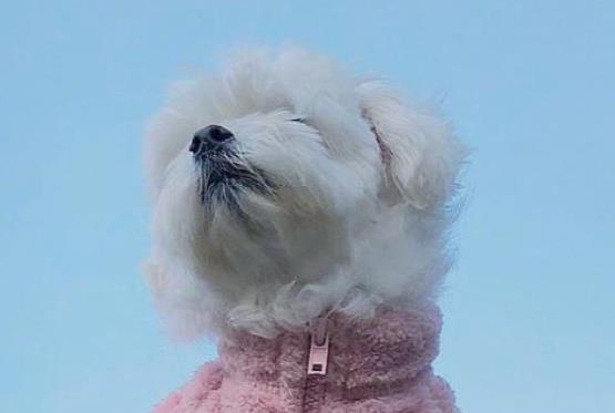 积极励志正能量的句子文案