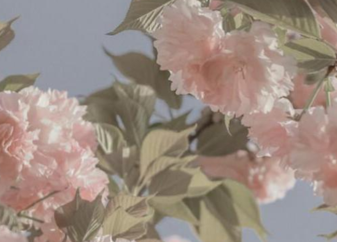 文案高级感温柔