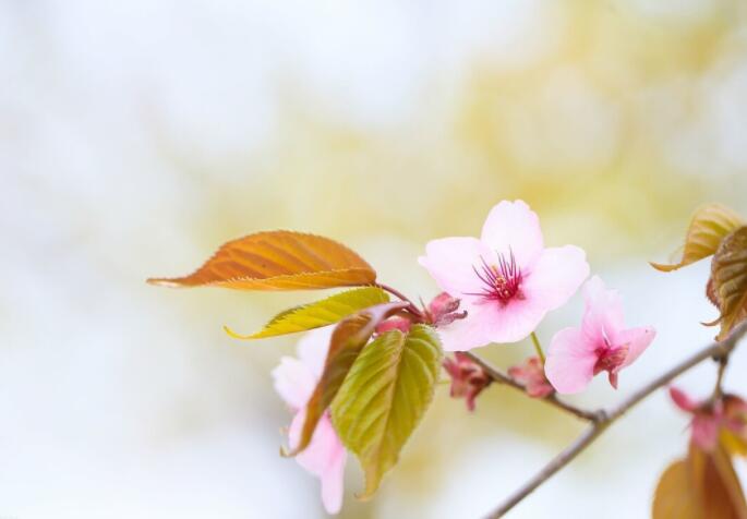 一句话经典语录文案