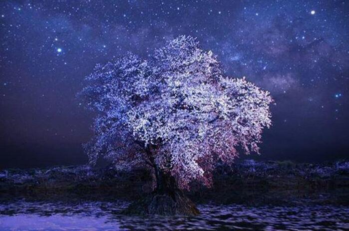 夜深等待一个人的句子文案