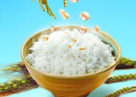 节约粮食的句子文案20字