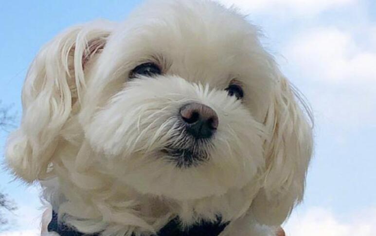 激励成功的精辟语录文案