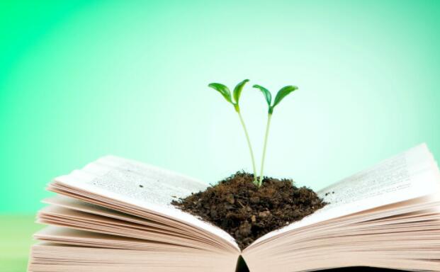 关于压力的名言