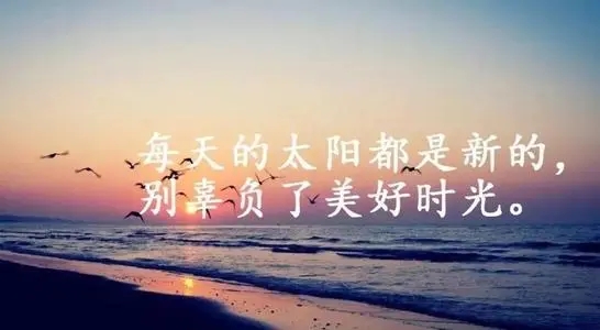 超拽高冷句子文案8个字