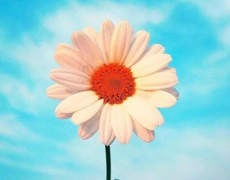 时光语录文案经典唯美