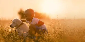 长大明白道理的句子文案