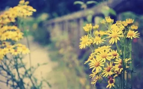 助人为乐的名言