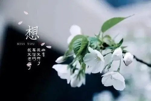 怀念姥姥的句子文案伤感