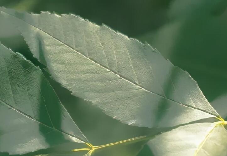 结束一段旅程的句子文案
