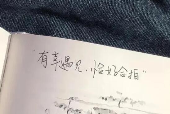 高中经典佳句摘抄大全