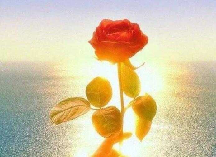 温馨简短晚安祝福短信