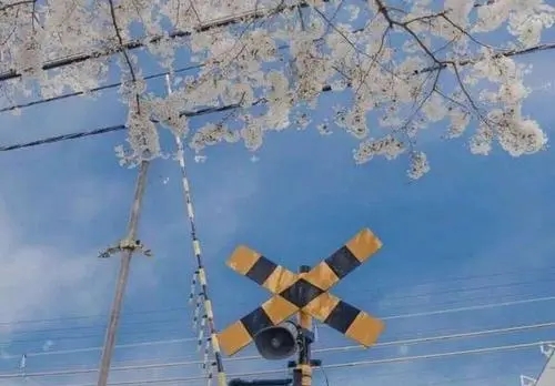 那些温柔的句子文案