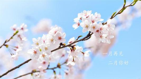 赞美二月唯美诗句文案