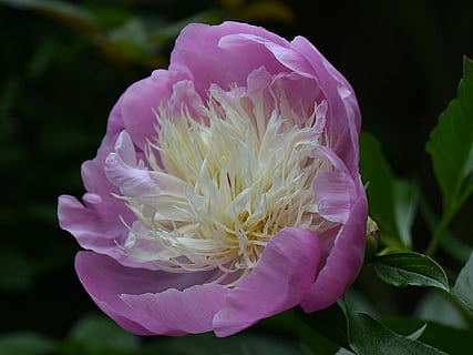 情侣早安问候语2024最新