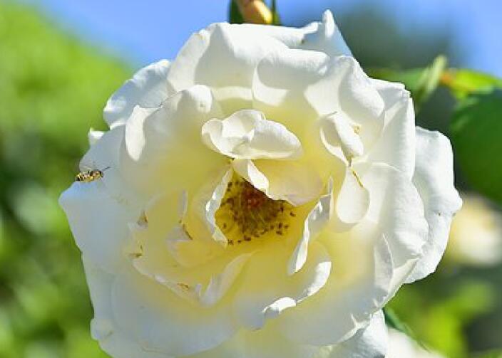 唯美语录文案经典励志语录文案