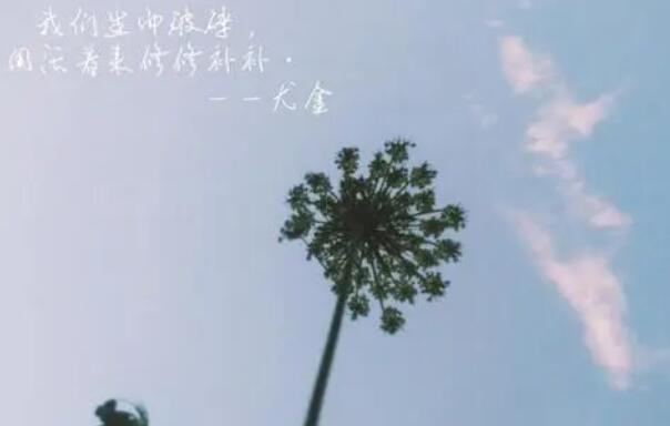 人生大实话经典语录文案