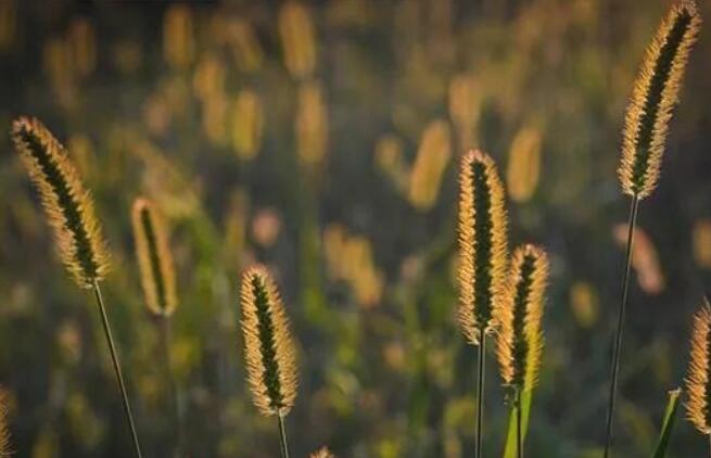 女人再苦再累自己扛的说说文案