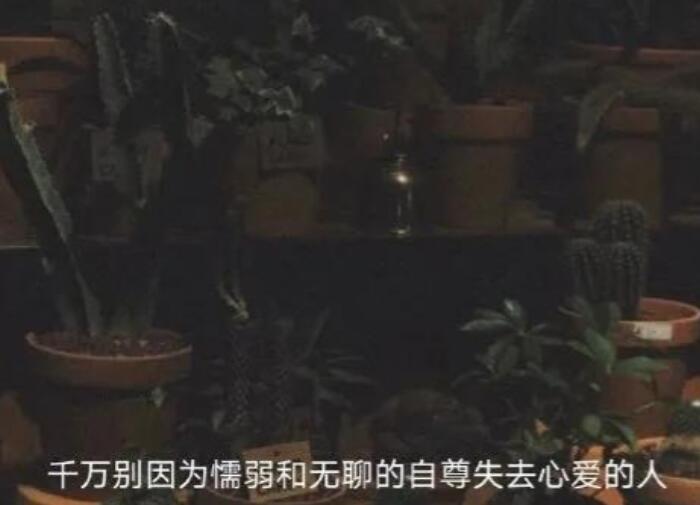 关于不回消息的文案