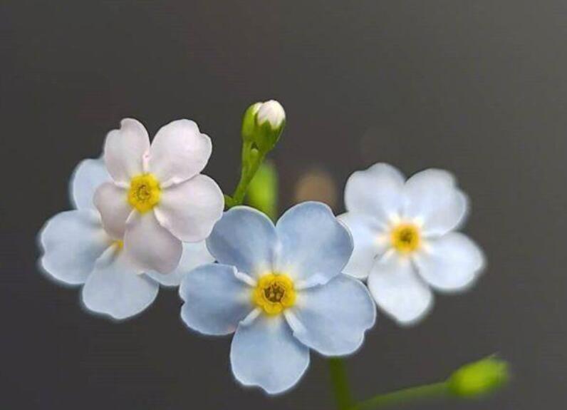 2024年晨语美好的句子文案