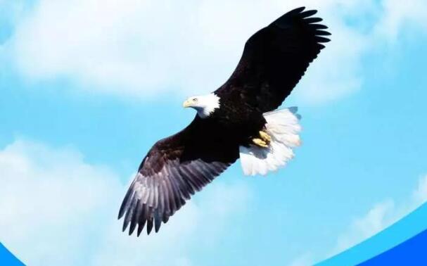 鼓励自己的经典语句文案