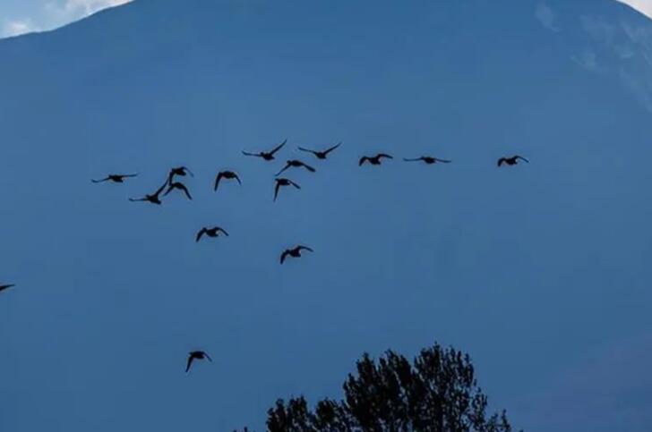 祭祖思念亲人的诗句文案