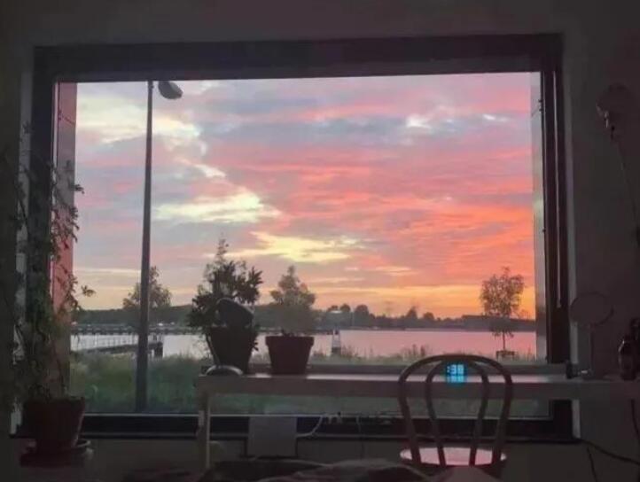 向情侣表白的短句