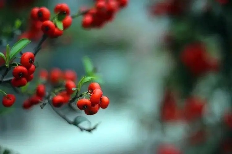 六个字的名句文案