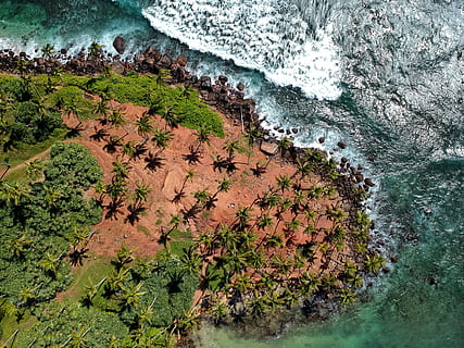 网恋深情表白的一段话