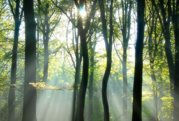清明节思念父亲的句子文案亲