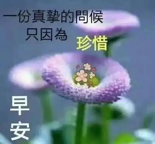 温暖人心的早安朋友圈