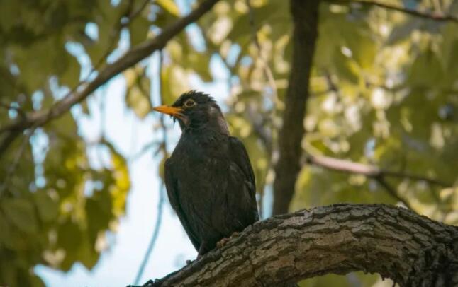 关于谷雨的诗词名句文案